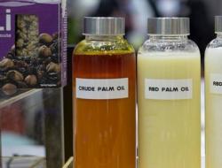 Пальмовое масло. Польза и вред. Почему пальмовое масло вредно? Пальмовое масло вред или польза